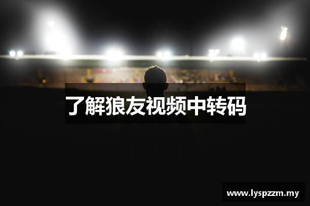 了解狼友视频中转码